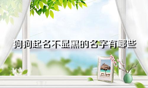 狗狗起名不显黑的名字有哪些