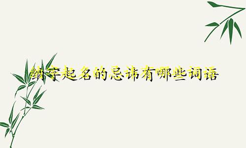 纳字起名的忌讳有哪些词语