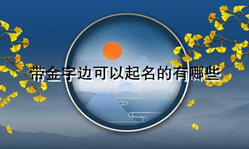 带金字边可以起名的有哪些