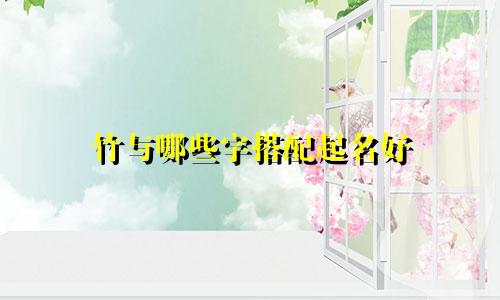 竹与哪些字搭配起名好