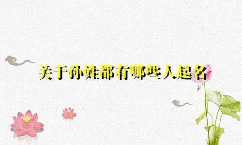 关于孙姓都有哪些人起名