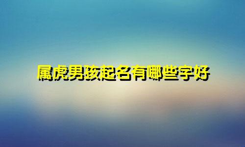 属虎男孩起名有哪些字好