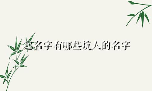 起名字有哪些坑人的名字