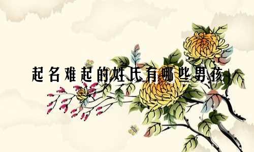 起名难起的姓氏有哪些男孩