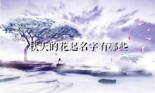 秋天的花起名字有哪些