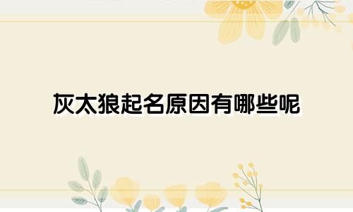 灰太狼起名原因有哪些呢