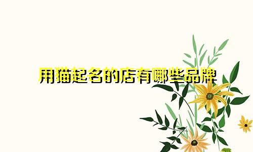 用猫起名的店有哪些品牌