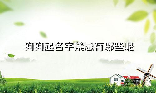 狗狗起名字禁忌有哪些呢