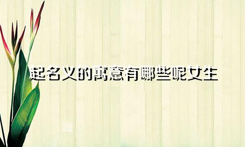 起名义的寓意有哪些呢女生