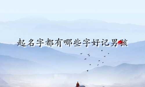 起名字都有哪些字好记男孩