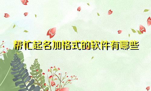 帮忙起名加格式的软件有哪些