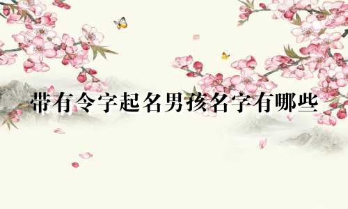 带有令字起名男孩名字有哪些