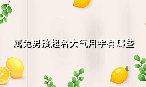 属兔男孩起名大气用字有哪些