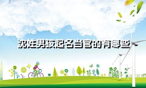 沈姓男孩起名当官的有哪些