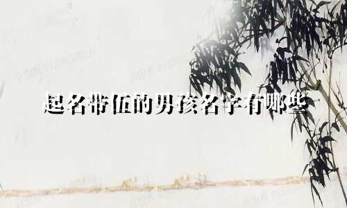 起名带伍的男孩名字有哪些
