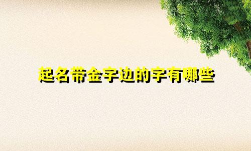 起名带金字边的字有哪些