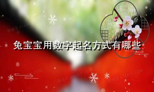 兔宝宝用数字起名方式有哪些