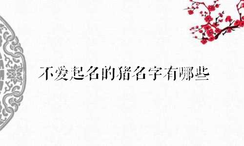 不爱起名的猪名字有哪些