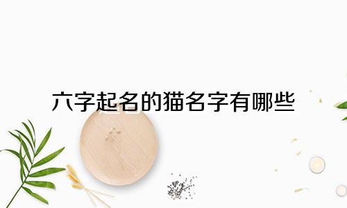 六字起名的猫名字有哪些