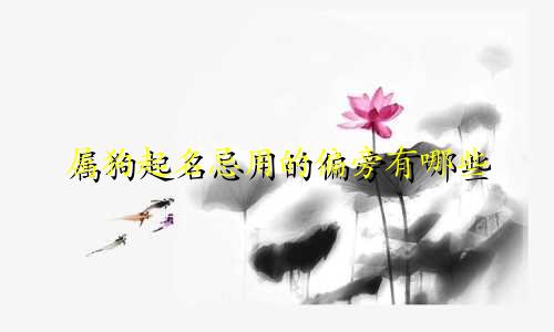 属狗起名忌用的偏旁有哪些