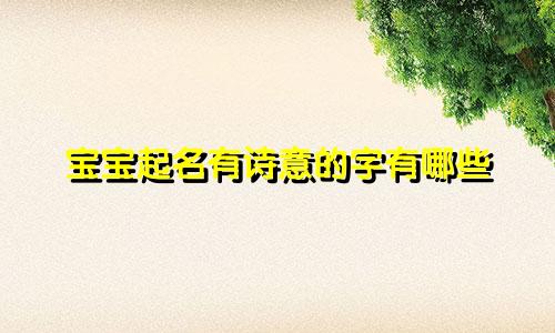 宝宝起名有诗意的字有哪些