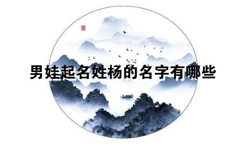 男娃起名姓杨的名字有哪些