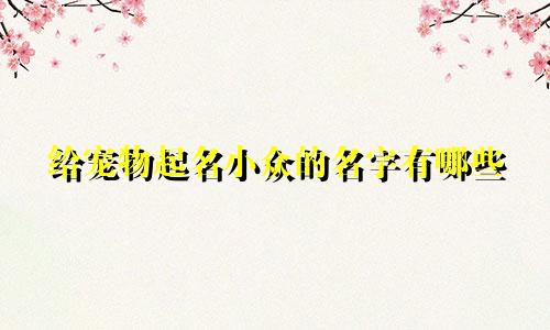 给宠物起名小众的名字有哪些