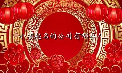 小字起名的公司有哪些人