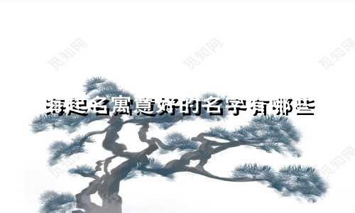 海起名寓意好的名字有哪些