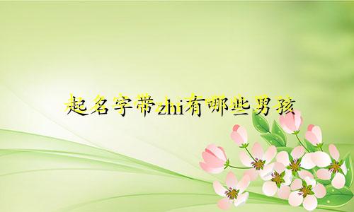 起名字带zhi有哪些男孩