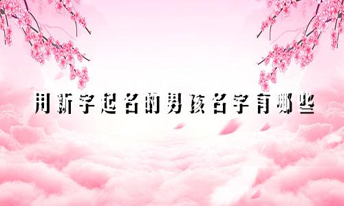 用新字起名的男孩名字有哪些