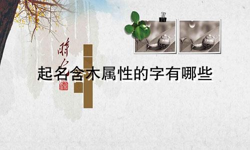 起名含木属性的字有哪些