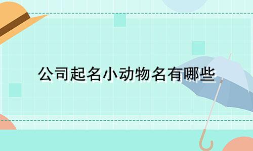 公司起名小动物名有哪些