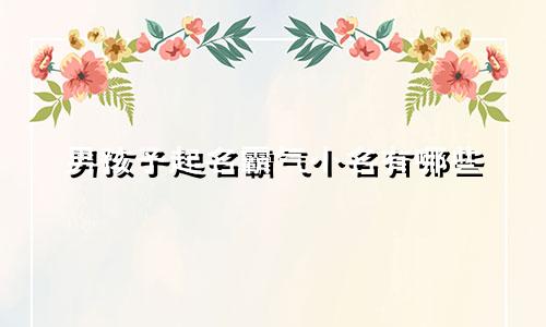 男孩子起名霸气小名有哪些