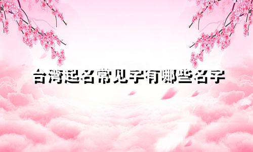 台湾起名常见字有哪些名字