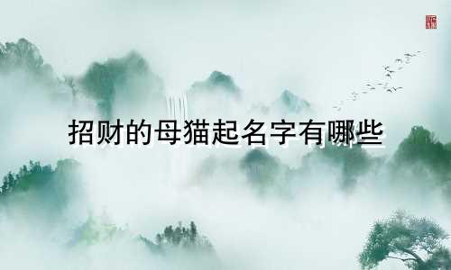 招财的母猫起名字有哪些