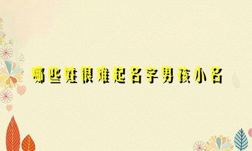 哪些姓很难起名字男孩小名