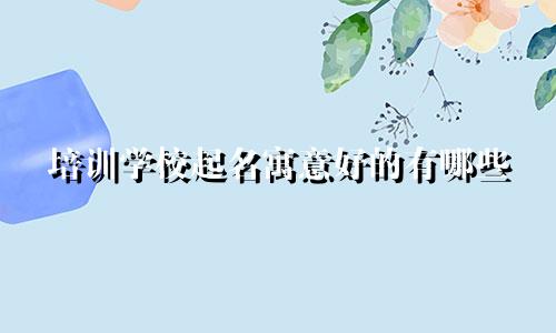 培训学校起名寓意好的有哪些