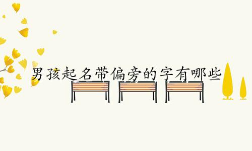 男孩起名带偏旁的字有哪些