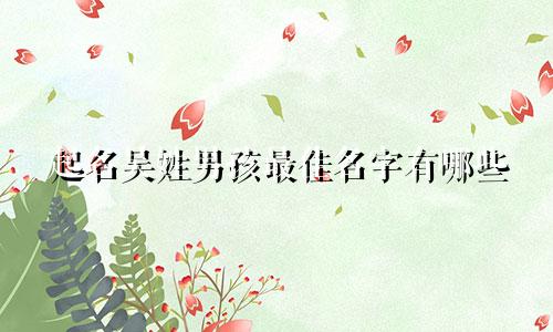 起名吴姓男孩最佳名字有哪些
