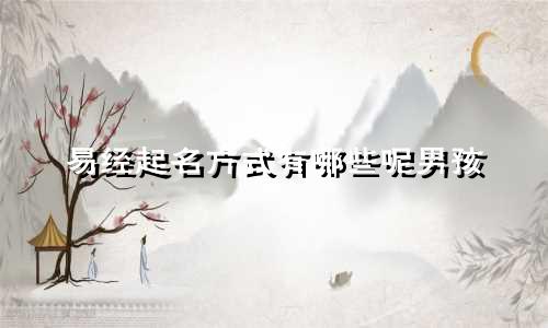 易经起名方式有哪些呢男孩