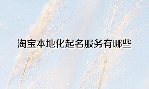 淘宝本地化起名服务有哪些