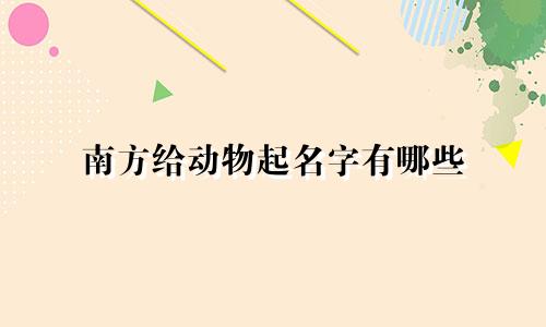 南方给动物起名字有哪些