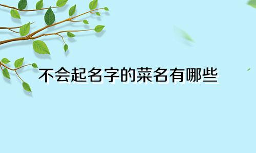 不会起名字的菜名有哪些