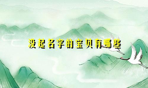 没起名字的宝贝有哪些