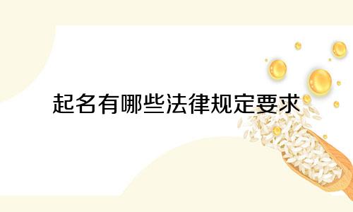 起名有哪些法律规定要求