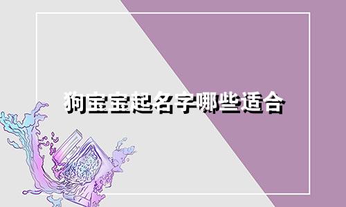 狗宝宝起名字哪些适合
