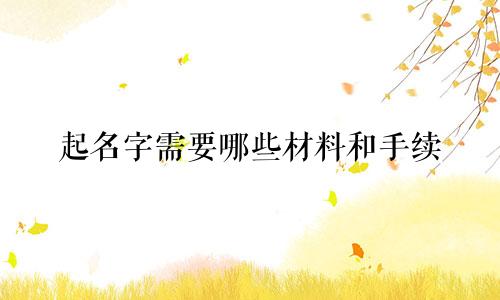起名字需要哪些材料和手续