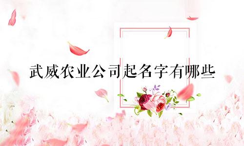 武威农业公司起名字有哪些
