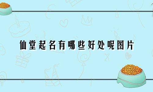 仙堂起名有哪些好处呢图片